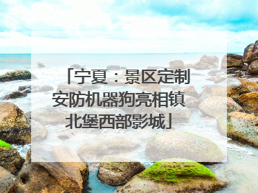 宁夏：景区定制安防机器狗亮相镇北堡西部影城