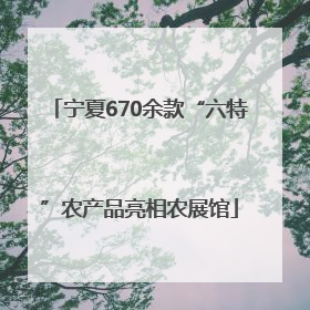 宁夏670余款“六特”农产品亮相农展馆