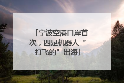 宁波空港口岸首次，四足机器人“打飞的”出海