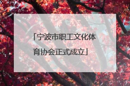 宁波市职工文化体育协会正式成立