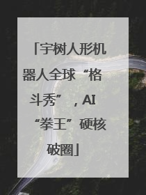 宇树人形机器人全球“格斗秀”，AI“拳王”硬核破圈