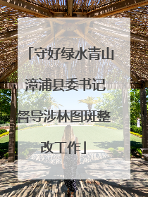 守好绿水青山 漳浦县委书记督导涉林图斑整改工作