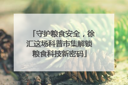 守护粮食安全，徐汇这场科普市集解锁粮食科技新密码
