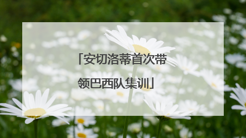 安切洛蒂首次带领巴西队集训