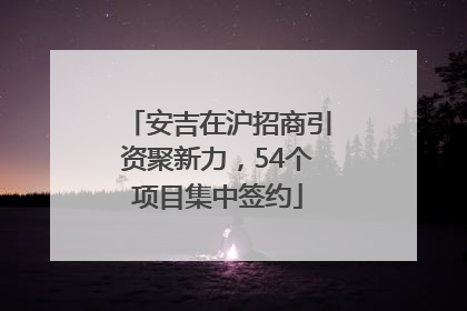 安吉在沪招商引资聚新力，54个项目集中签约
