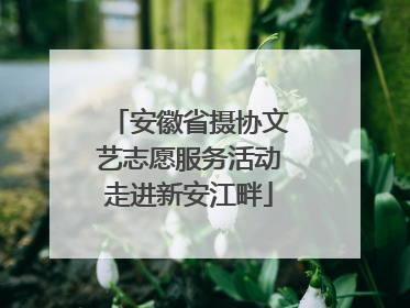 安徽省摄协文艺志愿服务活动走进新安江畔