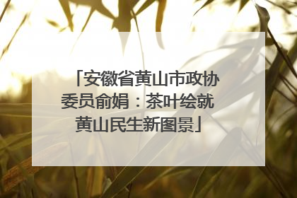 安徽省黄山市政协委员俞娟：茶叶绘就黄山民生新图景