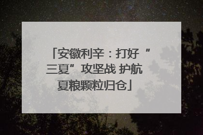 安徽利辛：打好“三夏”攻坚战 护航夏粮颗粒归仓