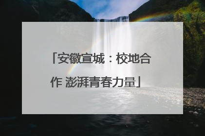 安徽宣城：校地合作 澎湃青春力量