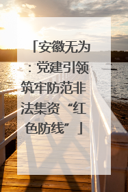安徽无为：党建引领筑牢防范非法集资“红色防线”