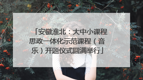 安徽淮北：大中小课程思政一体化示范课程（音乐）开题仪式圆满举行