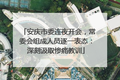 安庆市委连夜开会，常委会组成人员逐一表态：深刻汲取惨痛教训