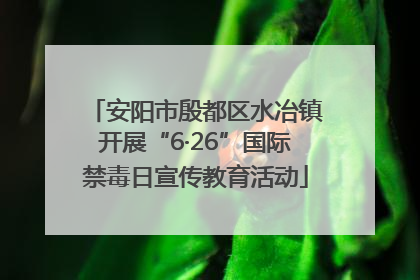 安阳市殷都区水冶镇开展“6·26”国际禁毒日宣传教育活动