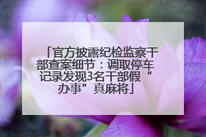 官方披露纪检监察干部查案细节：调取停车记录发现3名干部假“办事”真麻将