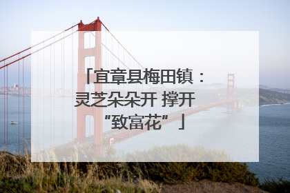 宜章县梅田镇：灵芝朵朵开 撑开“致富花”
