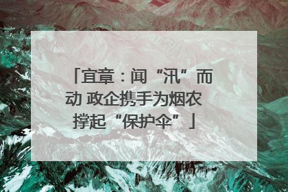 宜章：闻“汛”而动 政企携手为烟农撑起“保护伞”
