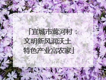 宜城市莺河村：文明新风润沃土 特色产业富农家