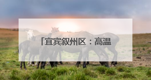 宜宾叙州区：高温下的“热血速递”