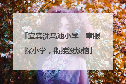 宜宾洗马池小学：童眼探小学，衔接没烦恼