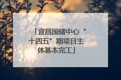 宜昌国储中心“十四五”期项目主体基本完工