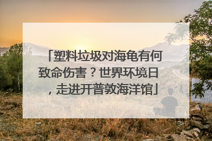 塑料垃圾对海龟有何致命伤害？世界环境日，走进开普敦海洋馆