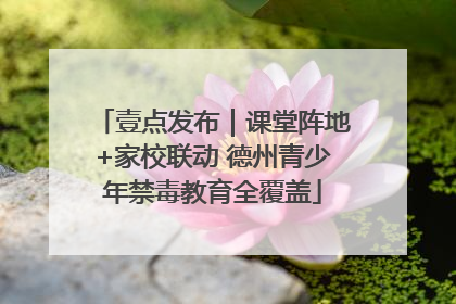 壹点发布｜课堂阵地+家校联动 德州青少年禁毒教育全覆盖