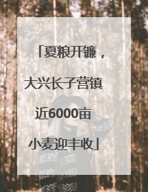 夏粮开镰，大兴长子营镇近6000亩小麦迎丰收