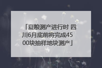 夏粮测产进行时 四川6月底前将完成4500块抽样地块测产