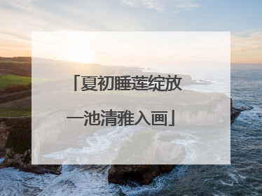 夏初睡莲绽放 一池清雅入画
