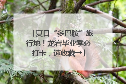 夏日“多巴胺”旅行地！龙岩毕业季必打卡，速收藏→