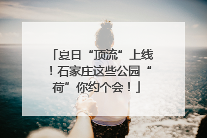 夏日“顶流”上线！石家庄这些公园“荷”你约个会！