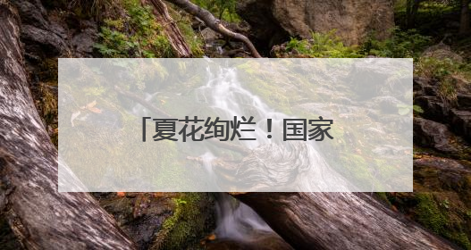 夏花绚烂！国家植物园萱草睡莲等进入盛花期