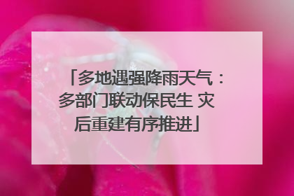多地遇强降雨天气：多部门联动保民生 灾后重建有序推进