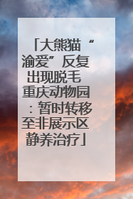 大熊猫“渝爱”反复出现脱毛 重庆动物园：暂时转移至非展示区静养治疗