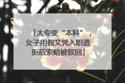 大专变“本科”，女子用假文凭入职遭拒后索赔被驳回