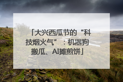 大兴西瓜节的“科技烟火气”：机器狗搬瓜、AI摊煎饼