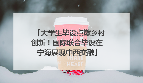 大学生毕设点燃乡村创新！国际联合毕设在宁海展现中西交融