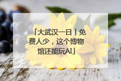 大武汉一日丨免费人少，这个博物馆还能玩AI
