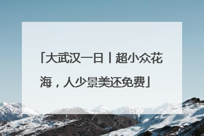 大武汉一日丨超小众花海，人少景美还免费