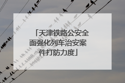 天津铁路公安全面强化列车治安案件打防力度