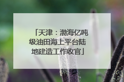 天津：渤海亿吨级油田海上平台陆地建造工作收官