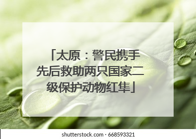 太原：警民携手 先后救助两只国家二级保护动物红隼