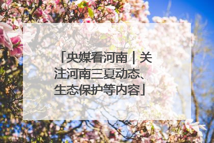 央媒看河南｜关注河南三夏动态、生态保护等内容