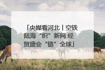 央媒看河北丨空铁陆海“织”新网 经贸盛会“链”全球