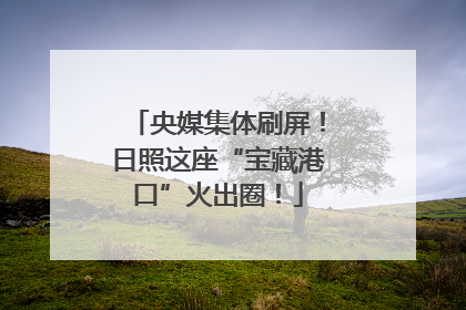 央媒集体刷屏！日照这座“宝藏港口”火出圈！