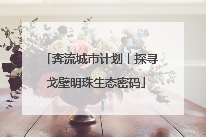 奔流城市计划丨探寻戈壁明珠生态密码