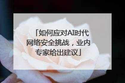 如何应对AI时代网络安全挑战，业内专家给出建议