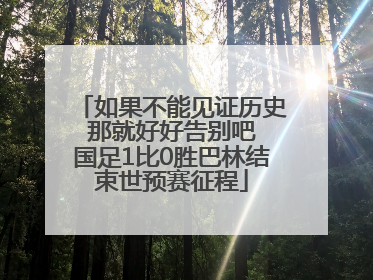 如果不能见证历史 那就好好告别吧 国足1比0胜巴林结束世预赛征程