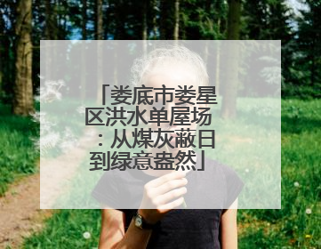 娄底市娄星区洪水单屋场：从煤灰蔽日到绿意盎然