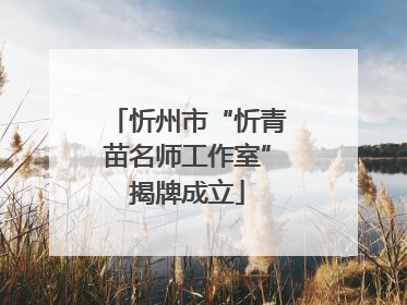 忻州市“忻青苗名师工作室”揭牌成立